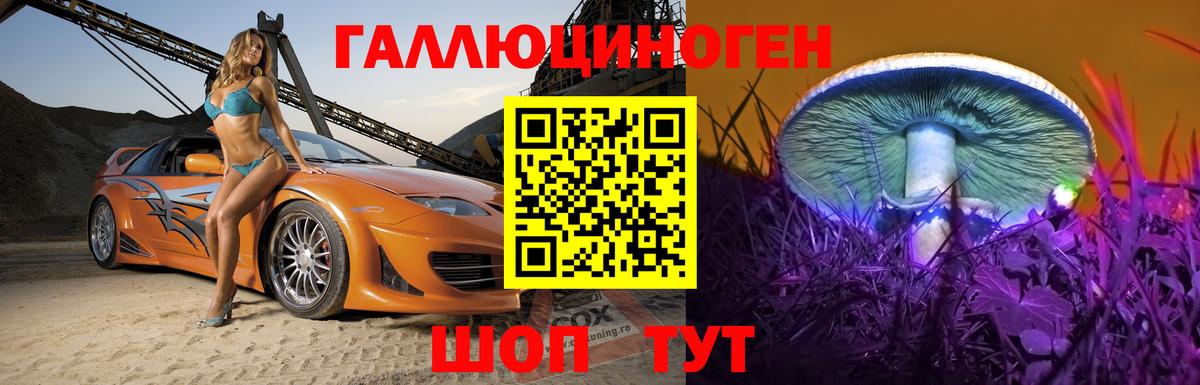 Галлюциногенные грибы Psilocybine cubensis Ступино