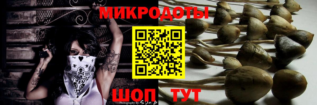 Галлюциногенные грибы мухоморы  Псилоцибиновые грибы GOLDEN TEACHER  дарнет шоп  Вход с VPN  Ступино 
